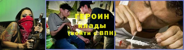 амф Новозыбков