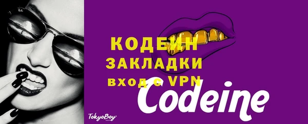 гашик Няндома