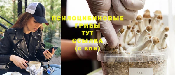 скорость Новодвинск