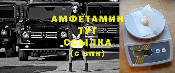 амф Новозыбков