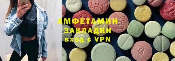 амф Новозыбков