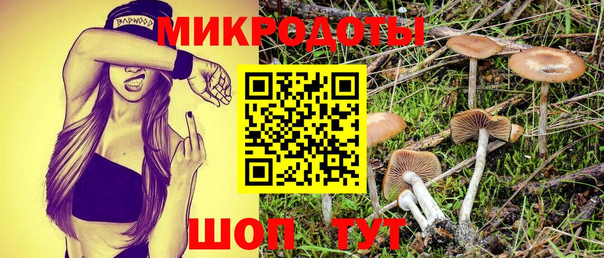 Галлюциногенные грибы Magic Shrooms  закладки  Галлюциногенные грибы GOLDEN TEACHER  Лесозаводск  Вход с VPN 